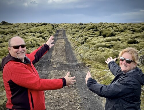 10 Day Icelandic Odyssey: Ring Road & Westfjords